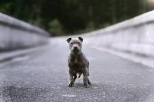 Jessica TOUCHARD - SILA STUDIO